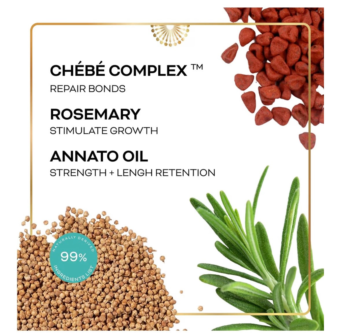 Chéribé Chebe Oil for Hair Growth – Chebe Complex + Rosemary, 2.5 fl oz